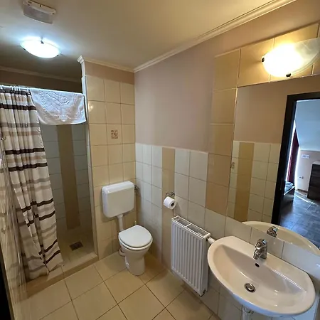 Oda ve Kahvaltı Balatonfueredi Borostyan Panzio 3*