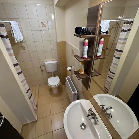 Balatonfueredi Borostyan Panzio 3*