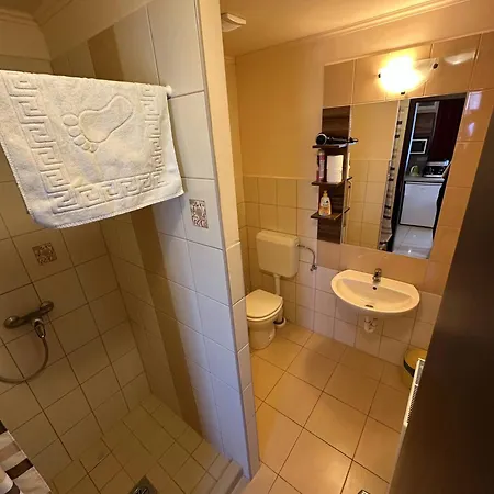 Balatonfueredi Borostyan Panzio