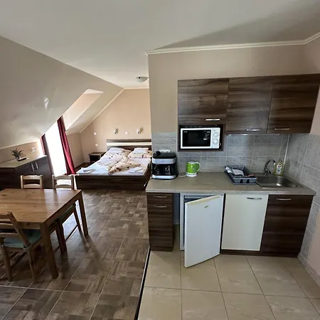 Oda ve Kahvaltı Balatonfueredi Borostyan Panzio