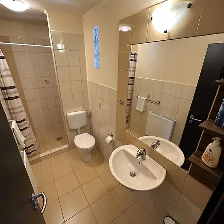 Balatonfueredi Borostyan Panzio 3* Balatonfüred