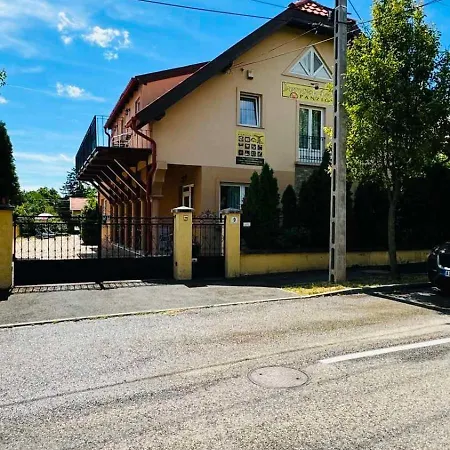 Balatonfueredi Borostyan Panzio 3* 巴拉顿菲赖德