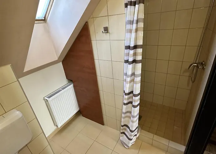 Balatonfueredi Borostyan Panzio Bed & Breakfast
